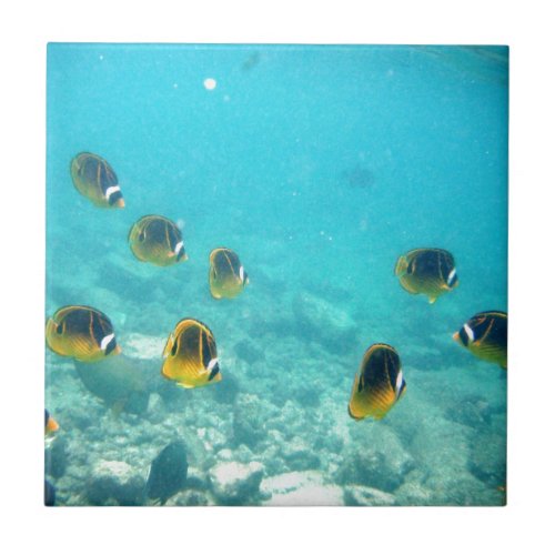 Underwater Tropical Fish Ceramic Tile