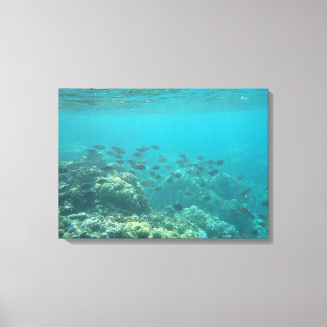 Underwater tropical fish scene canvas print (Front)