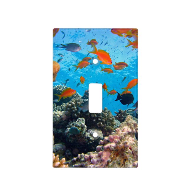 Underwater Tropical Fish Scene Light Switch Cover (Front)