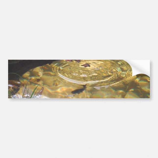 Underwater Trout feeding in Smoky Mountain creek Bumper Sticker (Front)