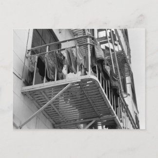 Underwear Out To Dry Humor Black and White Photo Postcard