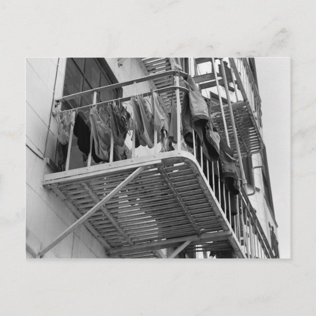 Underwear Out To Dry Humor Black and White Photo Postcard (Front)