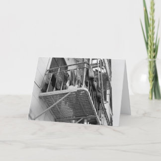 Underwear Out To Dry Humor Black and White Photo Thank You Card