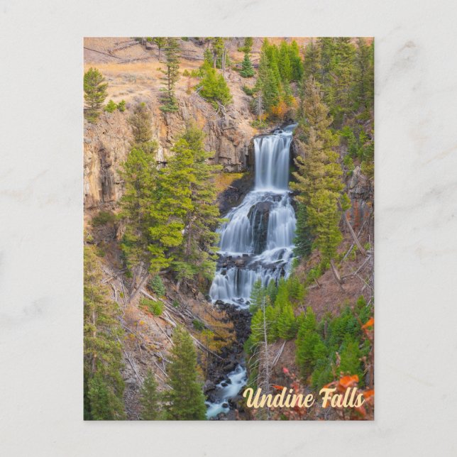 Undine Falls Lava Creek Yellowstone National Park Postcard (Front)