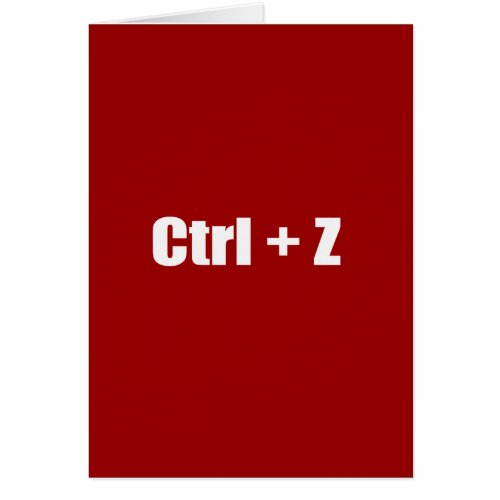 Undo _ CTRL  Z