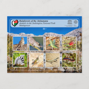 UNESCO - Atsinanana - Andringitra National Park Po Postcard
