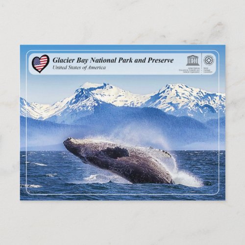 UNESCO Glacier Bay National Park _ Whale Spotting Postcard
