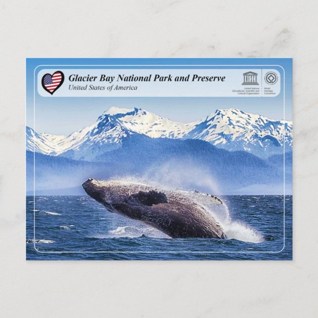 UNESCO: Glacier Bay National Park - Whale Spotting Postcard (Front)