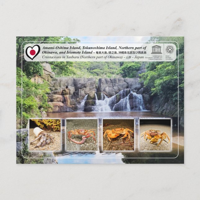 UNESCO - Northern part of Okinawa Island - 沖縄島北部 Postcard (Front)