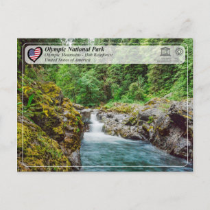 UNESCO - Olympic National Park - Hoh Rainforest Postcard