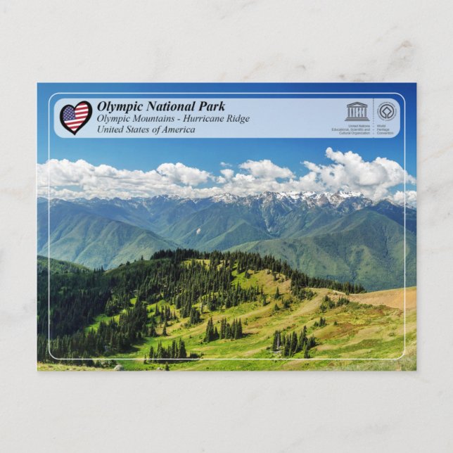 UNESCO - Olympic National Park - Hurricane Ridge Postcard (Front)