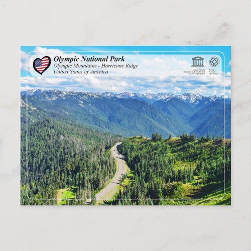 UNESCO _ Olympic National Park _ Hurricane Ridge Postcard