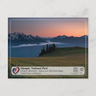 UNESCO - Olympic National Park - Hurricane Ridge Postcard
