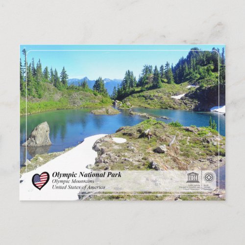 UNESCO _ Olympic National Park _ Olympic Mountains Postcard