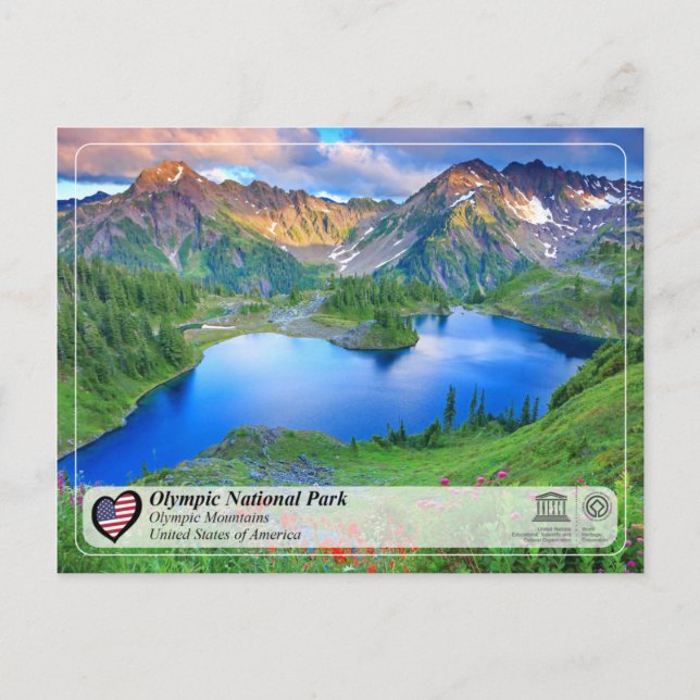 UNESCO - Olympic National Park - Olympic Mountains Postcard (Front)