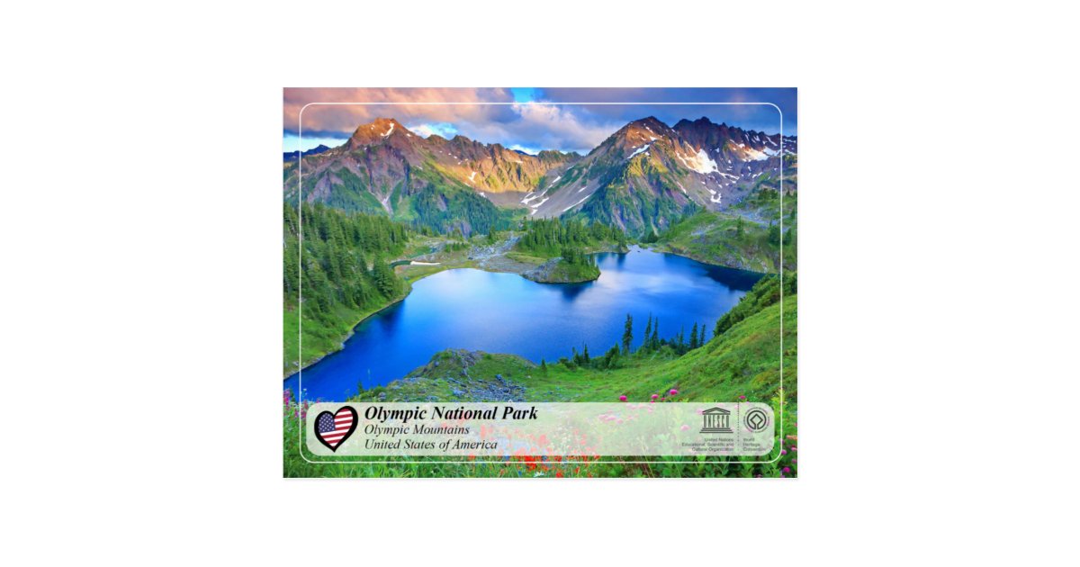 UNESCO Olympic National Park Olympic Mountains Postcard