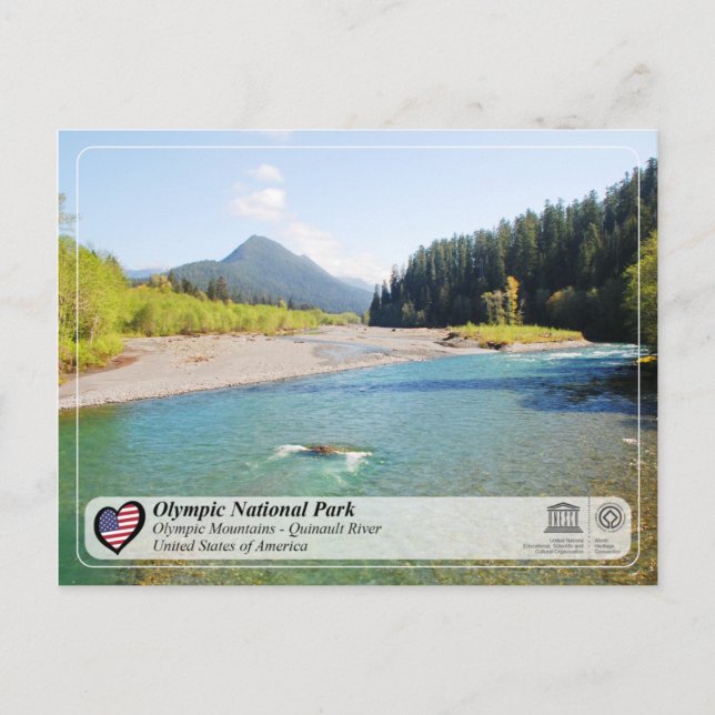 UNESCO - Olympic National Park - Quinault River Postcard (Front)
