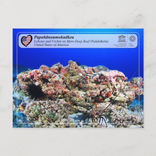 UNESCO _ Papahānaumokuākea _ Maro Reef Postcard