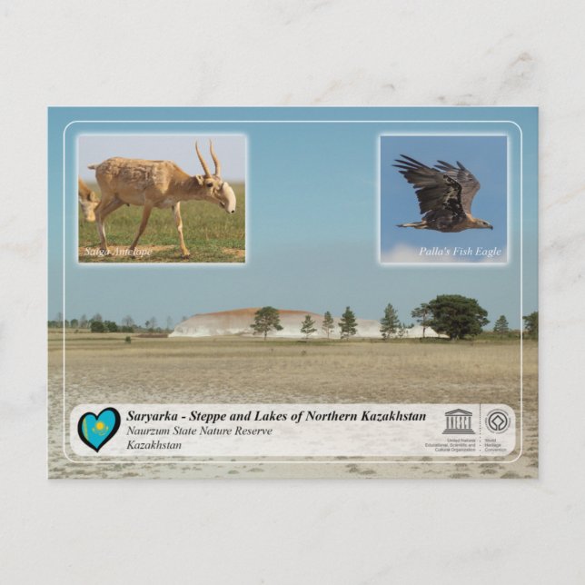 UNESCO - Saryarka - Naurzum State Nature Reserve Postcard (Front)