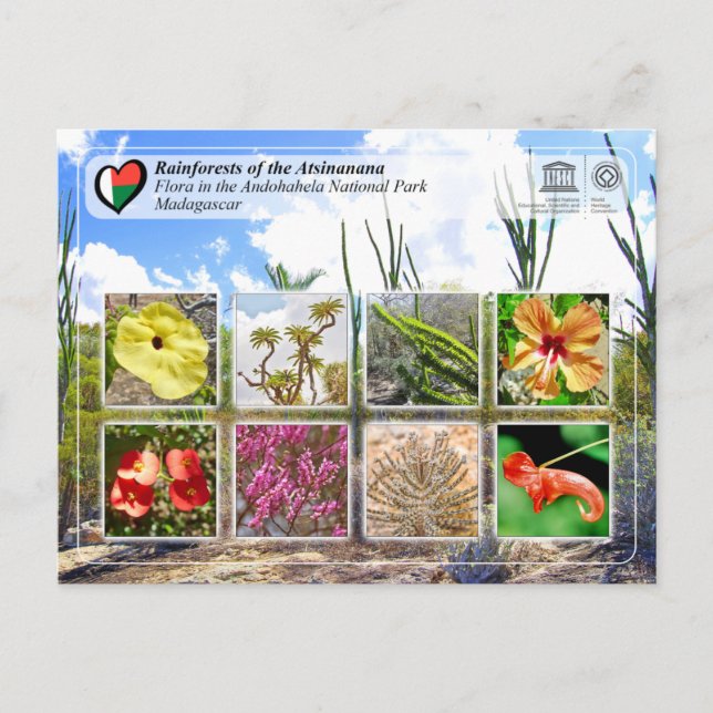 UNESCO WHS - Atsinanana - Andohahela National Park Postcard (Front)