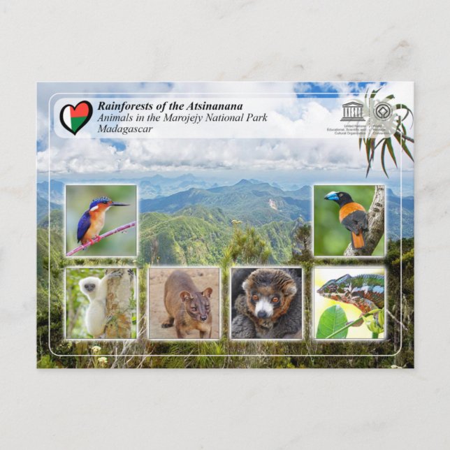 UNESCO WHS - Atsinanana - Marojejy National Park Postcard (Front)