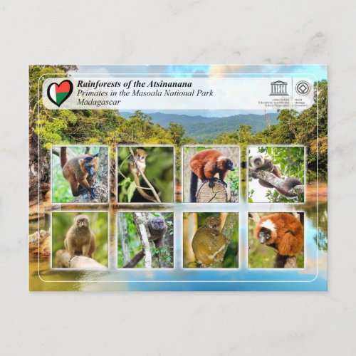 UNESCO WHS _ Atsinanana _ Masoala National Park Postcard
