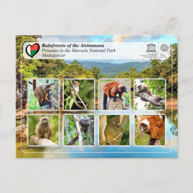 UNESCO WHS - Atsinanana - Masoala National Park Postcard (Front)