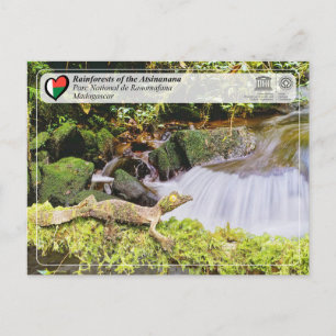 UNESCO WHS - Atsinanana - Ranomafana National Park Postcard