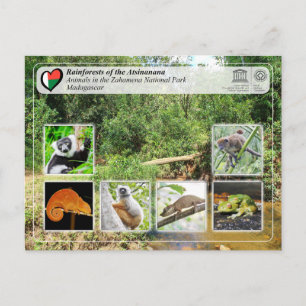 UNESCO WHS - Atsinanana - Zahamena National Park Postcard