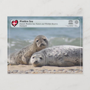 UNESCO WHS - Danish Wadden Sea Postcard