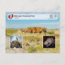 UNESCO WHS - Dinosaur Provincial Park Postcard