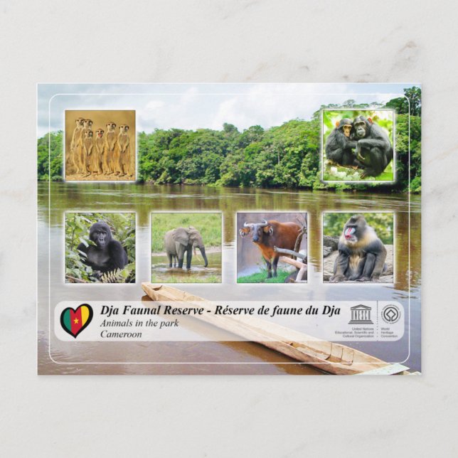 UNESCO WHS - Dja Faunal Reserve Postcard (Front)