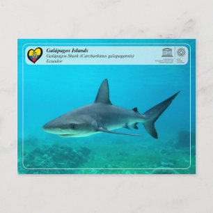 UNESCO WHS - Galápagos Islands -Galapagos Shark Postcard