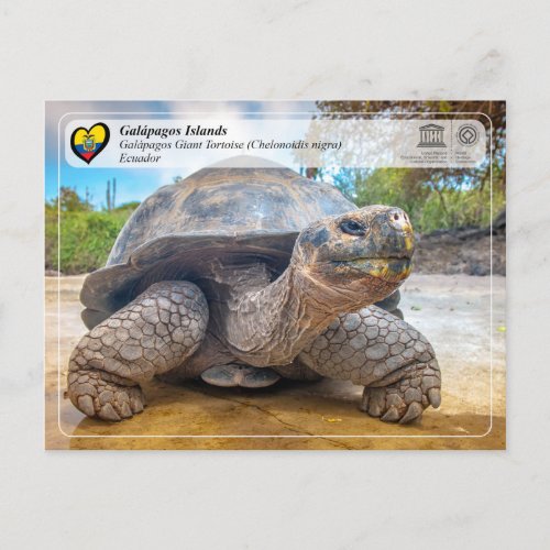 UNESCO WHS _ Galpagos Islands _ Giant Tortoise Postcard