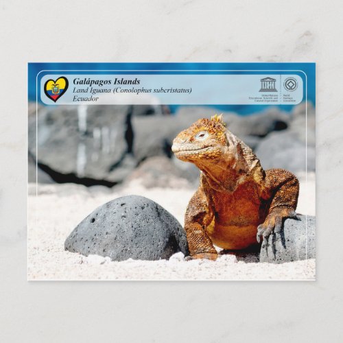 UNESCO WHS _ Galpagos Islands _ Land Iguana Postcard