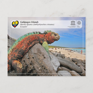 UNESCO WHS - Galápagos Islands - Marine Iguana Postcard