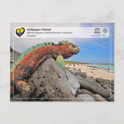 UNESCO WHS _ Galpagos Islands _ Marine Iguana Postcard