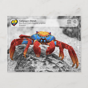 UNESCO WHS - Galápagos Islands - Red Rock Crab Postcard