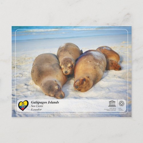 UNESCO WHS _ Galpagos Islands _ Sea Lions Postcard