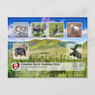UNESCO WHS - Gros Morne National Park Postcard