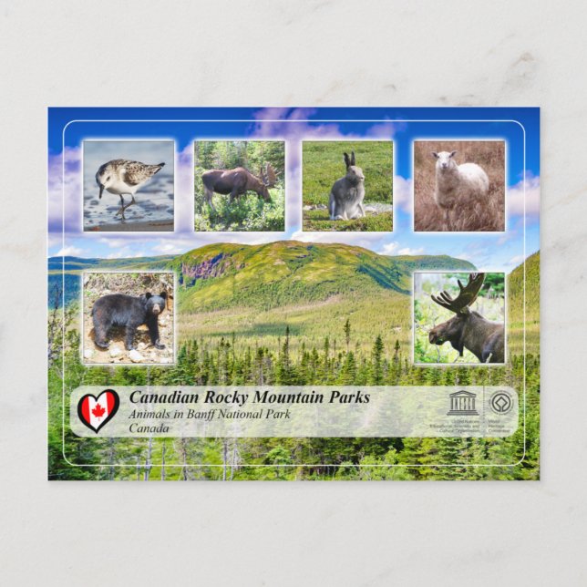 UNESCO WHS - Gros Morne National Park Postcard (Front)