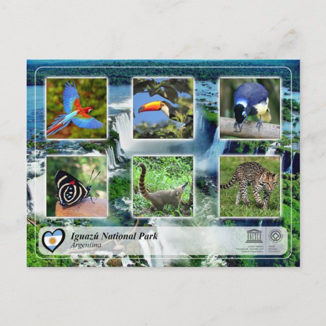 UNESCO WHS - Iguazu National Park Postcard (Front)