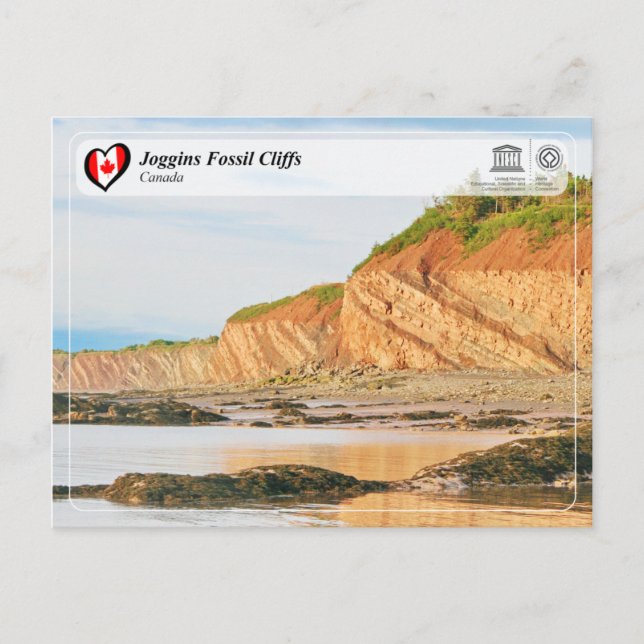 UNESCO WHS - Joggins Fossil Cliffs Postcard (Front)