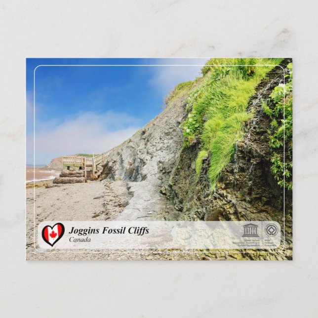 UNESCO WHS - Joggins Fossil Cliffs Postcard (Front)