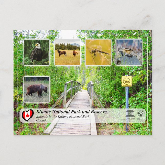 UNESCO WHS - Kluane National Park and Reserve Postcard (Front)