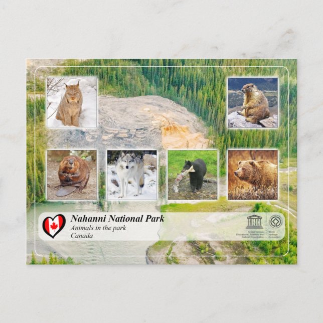 UNESCO WHS - Nahanni National Park Postcard (Front)