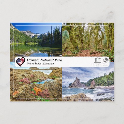 UNESCO WHS _ Olympic National Park Postcard