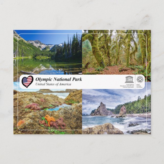UNESCO WHS - Olympic National Park Postcard (Front)
