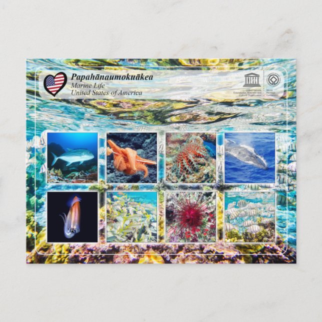 UNESCO WHS - Papahānaumokuākea - Marine Life Postcard (Front)