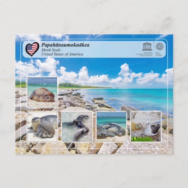 UNESCO WHS - Papahānaumokuākea - Monk Seals Postcard (Front)